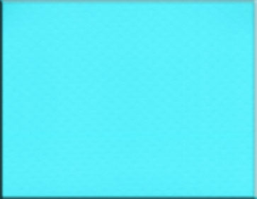 Sika Flüssigfolie/ Nahtversiegelung 1000ml