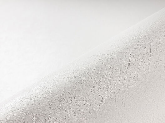 Renolit Alkorplan RELIEF Trittschutzfolie per lfm = 1,65m² Schwarz