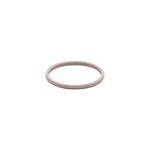 Dichtring Neptun ST 900/1050/1150