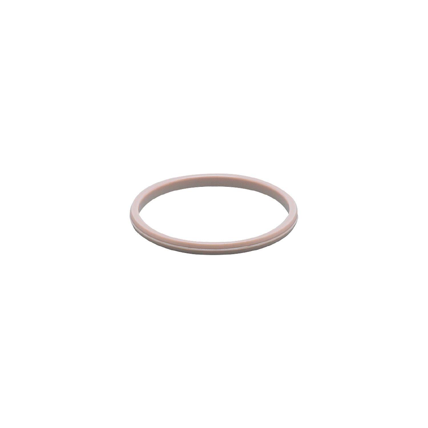 Dichtring Neptun ST 900/1050/1150